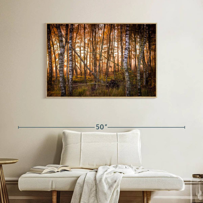 Forêt de bouleaux sombre, Cadre flottant en bois naturel, 40 po x 27 po