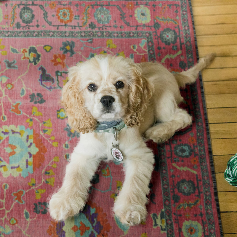 Connie-May Pink And Blue Runner Rug, Runner 2'2" x 10'