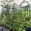 71 treillis de jardin en métal 71 po x 19,7 po, support pour plantes d'extérieur rouille, noir, assemblage simple, treillis galvanisé en tube 4 antirouille, facile à installer, matériau robuste