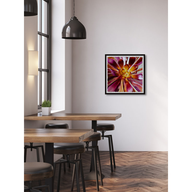 Exotic Succulent - Single Picture Frame Painting, 41 cm H x 41 cm W
