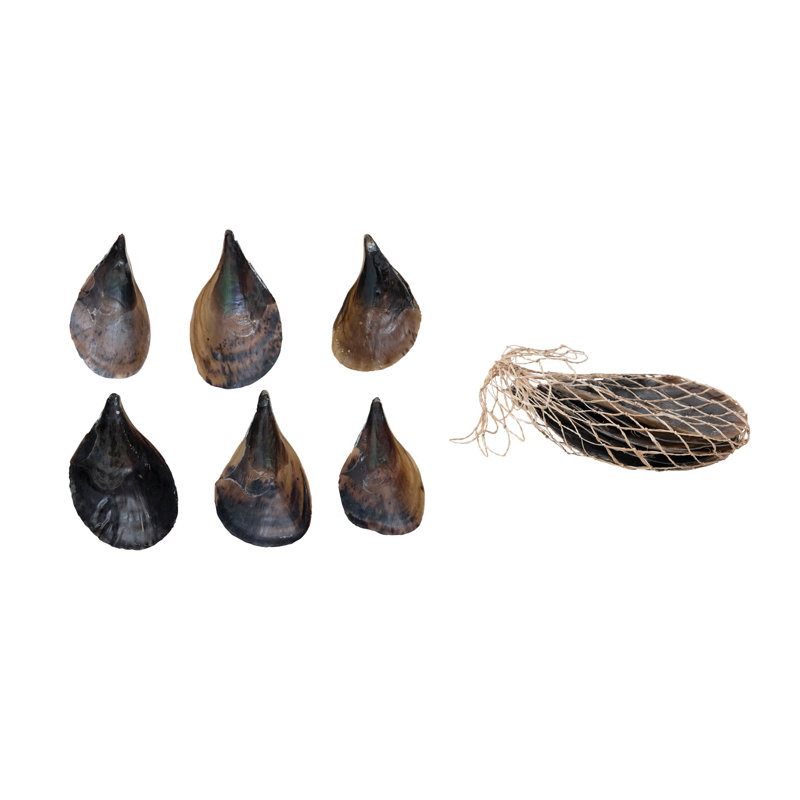 Coquilles de stylo dans un sac