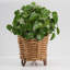 Mingenew Pot Planter