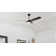 Gailyn 52'' Ceiling Fan with LED Lights
