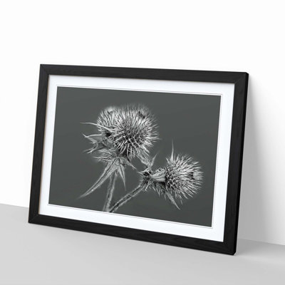 Single Picture Frame Print