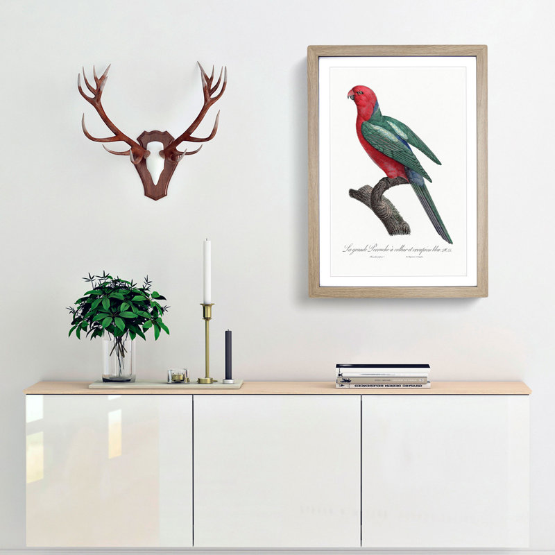 Australian King Parrot by F. Levaillant - Framed Print, 45cm H x 33cm W x 2cm D, Oak Framed