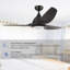 Albie 52'' Ceiling Fan with LED Lights-219325820