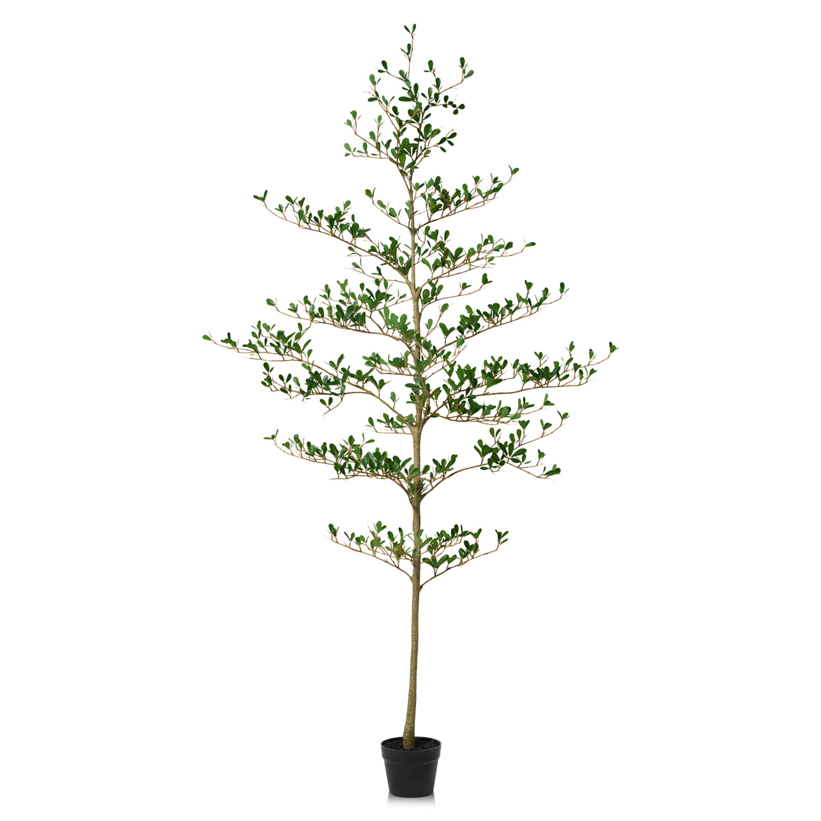 Adcock 84" Olive Tree in Pot, 72" H x 22" W x 22" D