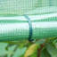 Odelle 3 Ft W x 2 Ft D Mini Greenhouse
