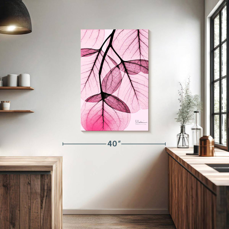 Eucalyptus rose Harnek II, H 39 po x l 26 po