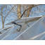 Palram - Ensemble de serre à cadre en aluminium en polycarbonate de style passe-partout hybride l 6 pi x P 8 po Canopia - Argent-1000907199-1009534612