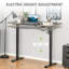 Madalon Adjustable Metal Base Standing Desk