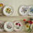 10" Dinner Plates, Set of 6