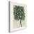 White Framed