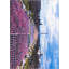 Tapis capitonné Jefferson Rugs.com-1626067560
