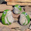 Grenouille solaire avec yeux lumineux (ensemble de 3)
