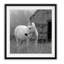 Morning Pasture - reproduction de cadre photo-327275601