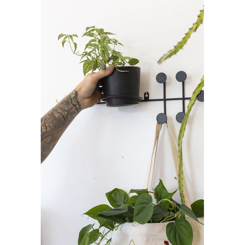 Angelina Ceramic Wall Planter
