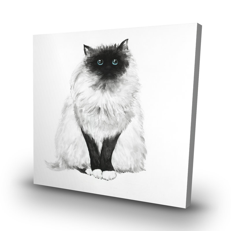 eyes fluffy siamese cat - 32"x32" art on canvas