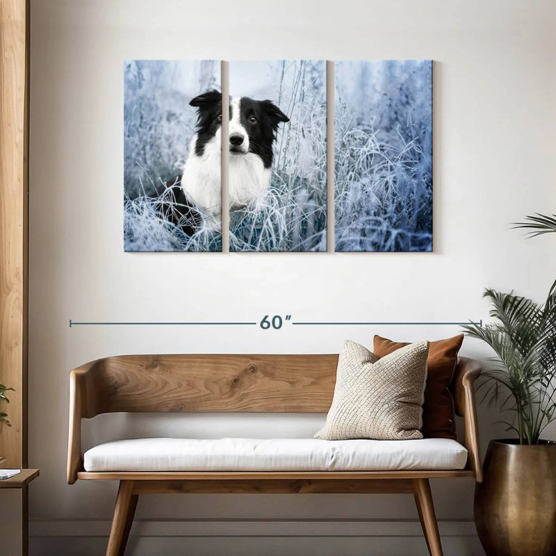 Border collie Brampt Winter, H 28 po x l 45 po