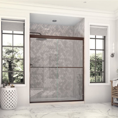 Eurolite 60 in. W x 74 in. H Sliding Bypass Frameless Shower Door in Oil Rubbed Bronze with 3/8 in. (10mm) Thick Clear Glass