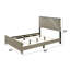  Lit standard Grider-347276102-274861321