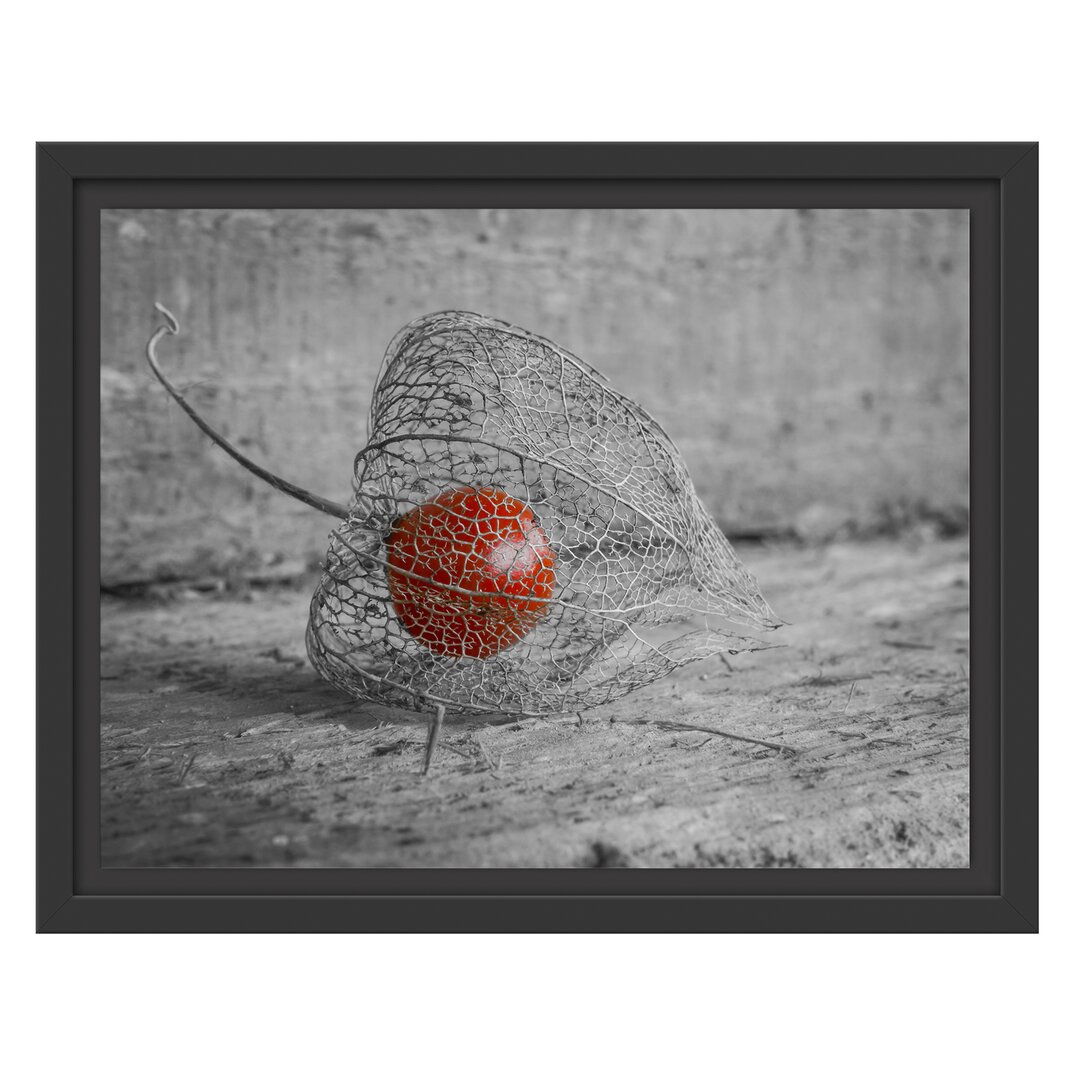 Gerahmtes Wandbild leckere Physalis in Schale