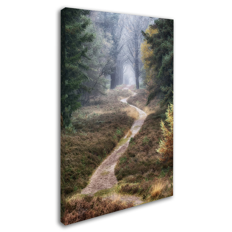 « escalader les traces », reproduction de photo sur toile tendue, H 32 po x l 22 po x P 2 po