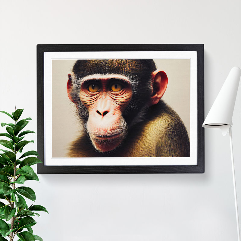 Monkey - Framed Print, Black Framed, 46cm H x 64cm W x 2cm D