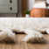 Powell Hand Woven Wool Geometric Rug