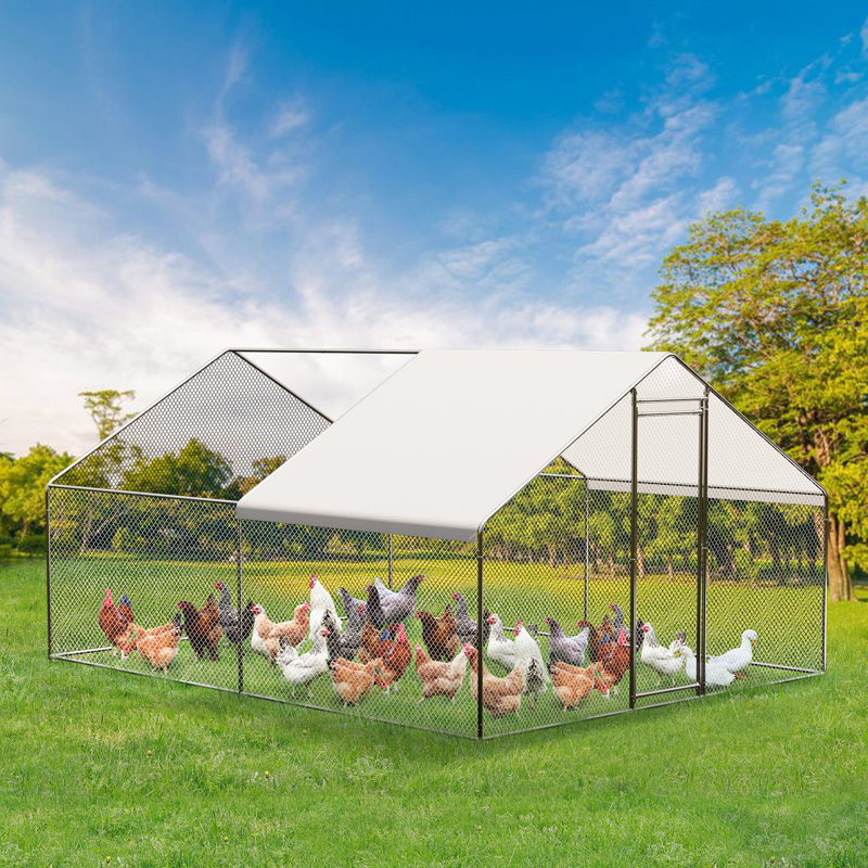 11.89 m² Chicken Coop