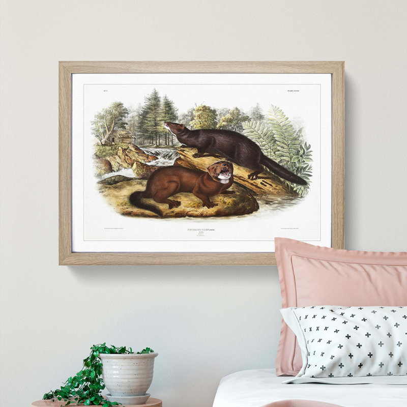 Mink by J.W. Audubon - Picture Frame Painting Print, Oak Framed, 48cm H x 65cm W x 2cm D