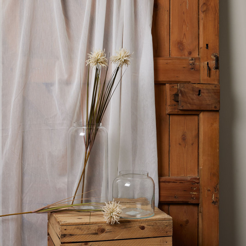 Daisy Arrangement, Cream