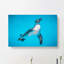 Swimming Penguin - Wrapped Canvas-55358359