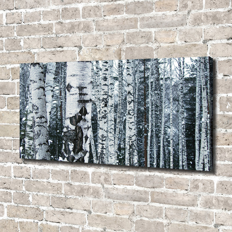 Birch Trees - Wrapped Canvas Print, 70cm H x 140cm W x 2cm D, Canvas