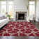  Chayden Area Rug with Non-Slip Backing