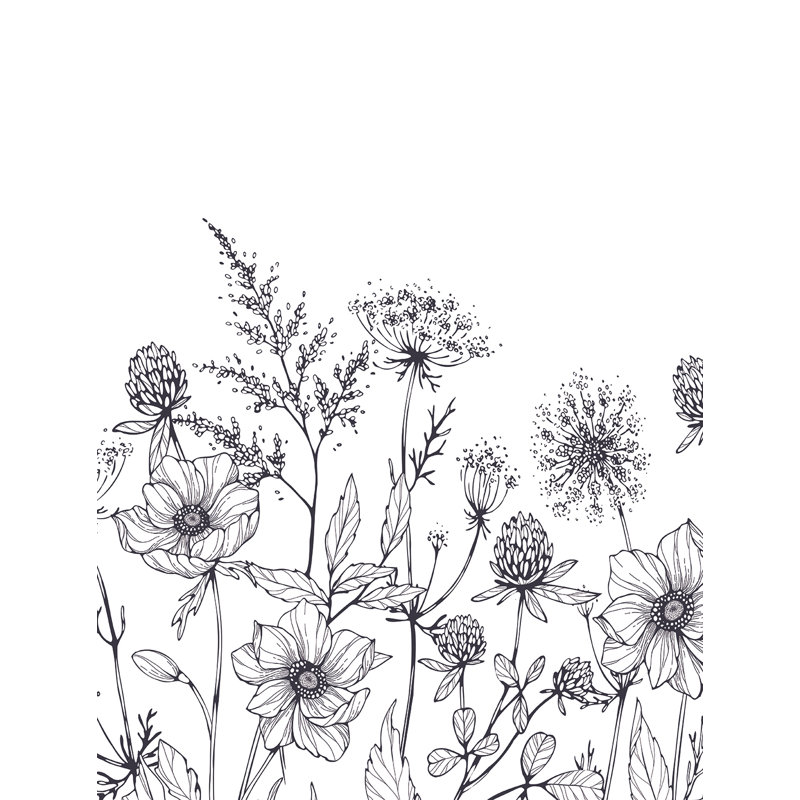 Meadow Bloom Sketch Black Wall Mural