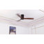 Élégant ventilateur de plafond en bois naturel de 52 pouces avec moteur CC réversible silencieux et télécommande-1770110785-1770110784