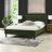 Abstract Indoor Rug