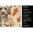 Lagotto Romagnolo Heirloom Fall Kitchen Towel-1218231274