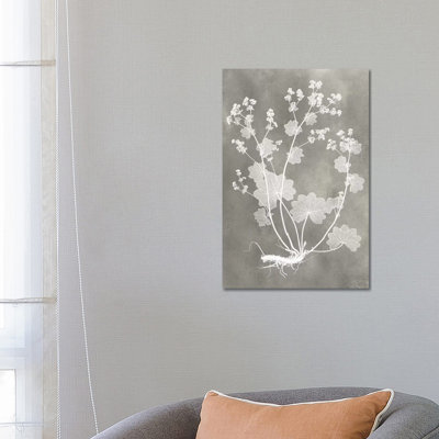 Herbarium Study I - Wrapped Canvas Painting