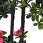 180cm Faux Bougainvillea Tree in Freestanding