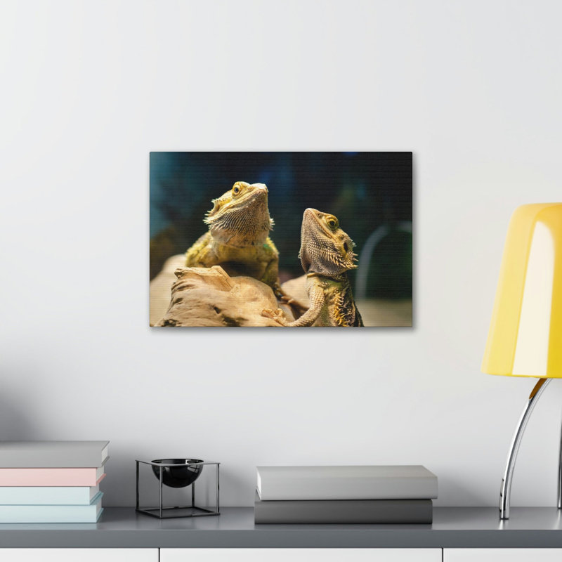 No Frame Print on Canvas, 27.94cm H x 35.56cm W