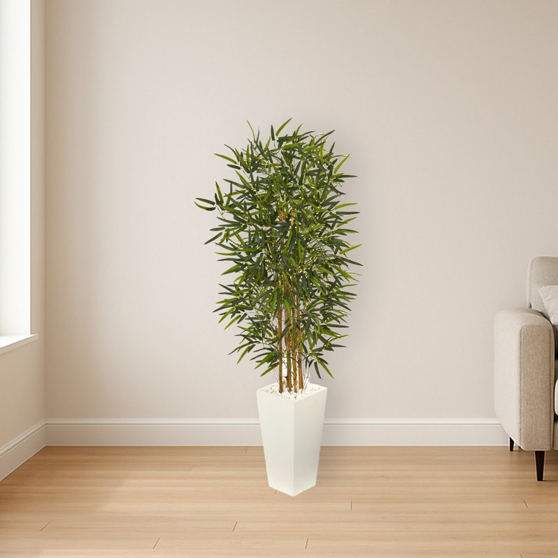 Bamboo Tree in White Tower Planter