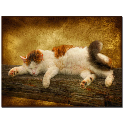 « sleep kitty » par lois bryan, reproduction d’art sur toile