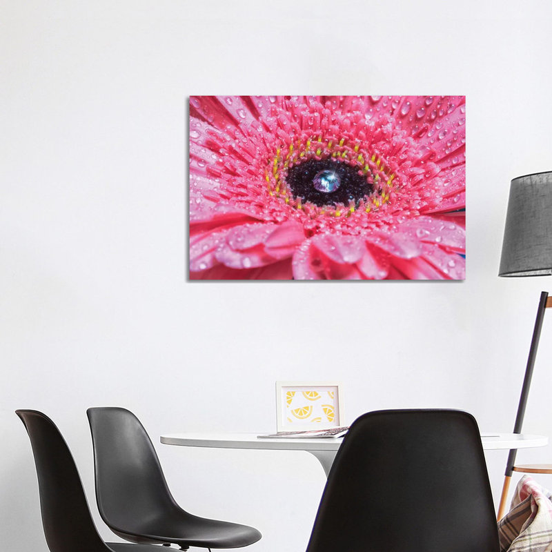 Pink Daisy with Water Droplets 1 Piece Wrapped Canvas Wall Art, 66.04cm H x 101.6cm W x 1.905cm D