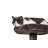 Blaylock 52.37 " H Cat Scratching Post