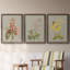 Botanical Array I - ensemble de 3 peintures sur toile encadrées-1480606616-1480606618
