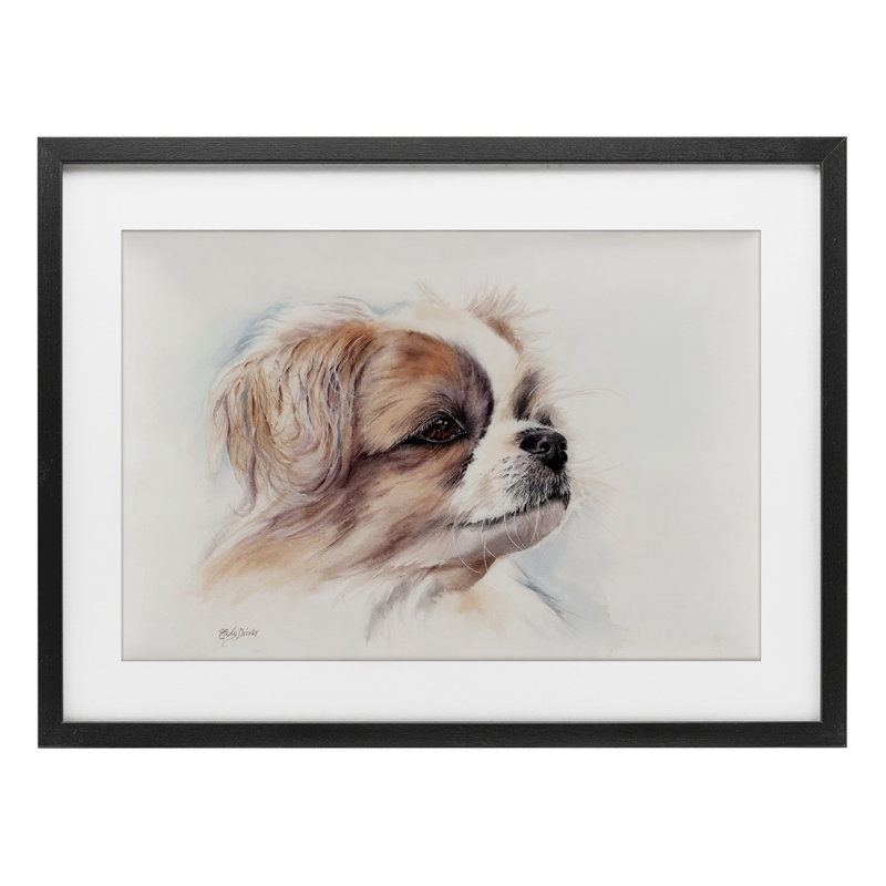 «Expressive Dog Face», reproduction encadrée sous verre, conception de Cady, H 17 po x l 23 po, Cadre noir minuit