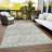 Machine Washable Indoor/Outdoor Xhevrie Pewter Rug-544666682