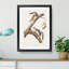 Downy Squirrels by J.W. Audubon - Picture Frame Painting Print-55545567-55545568